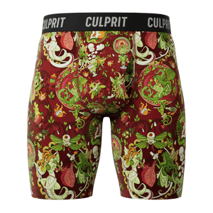 Absinthe Minded 🧚 Long-Cut Boxer Briefs w/ fly