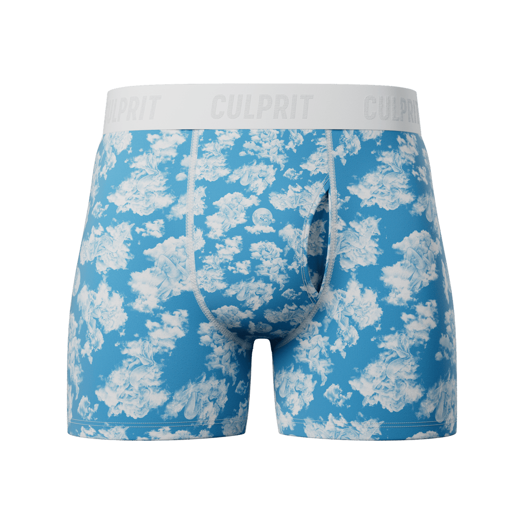 Cloud P☀️rn 🌬️ - Culprit Underwear - Boxer Briefs w/Fly - BB - CPORN - S