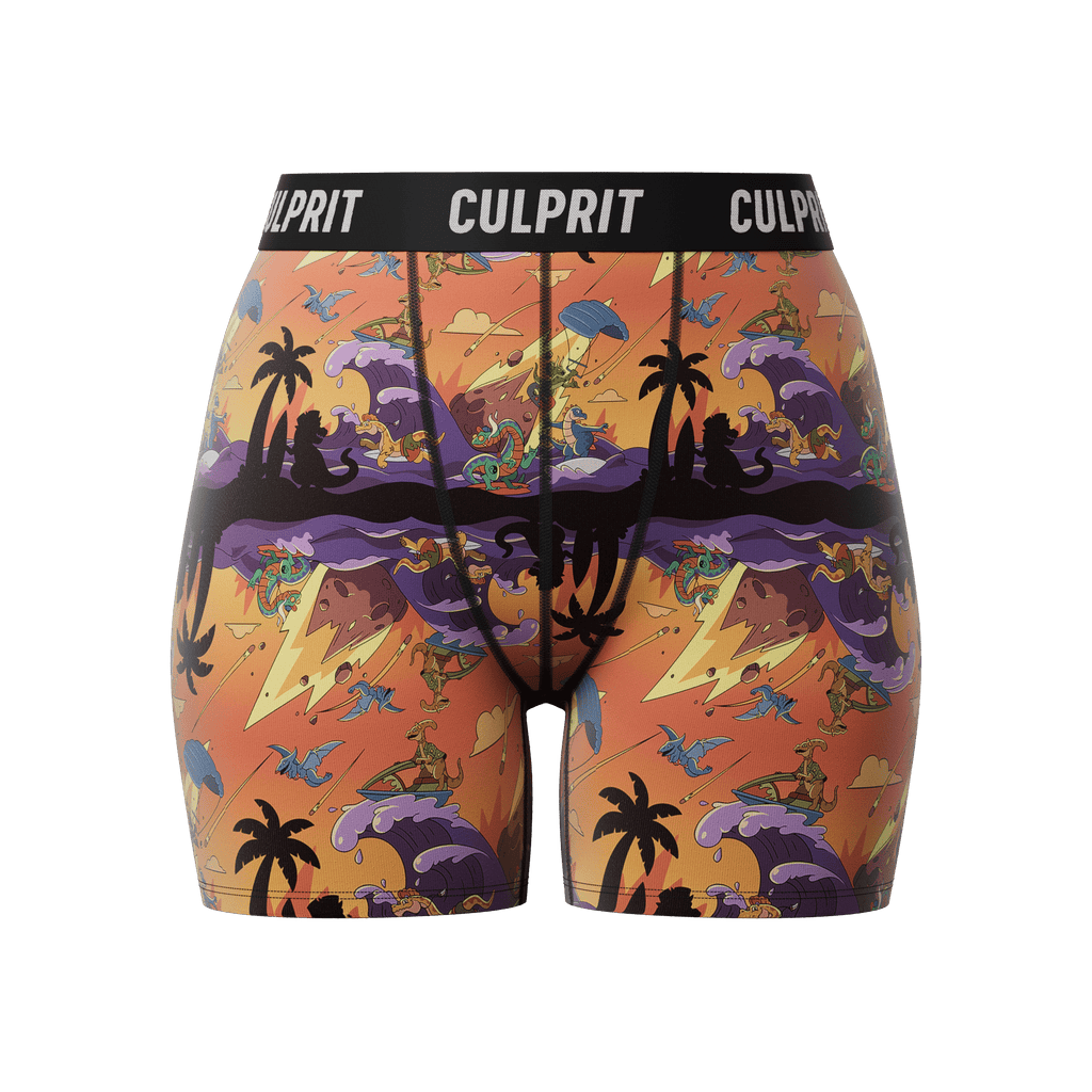 Last Wave 🦕☄️ LadyBoxers™ - Culprit Underwear - LadyBoxers™ - LB - LAST - XS