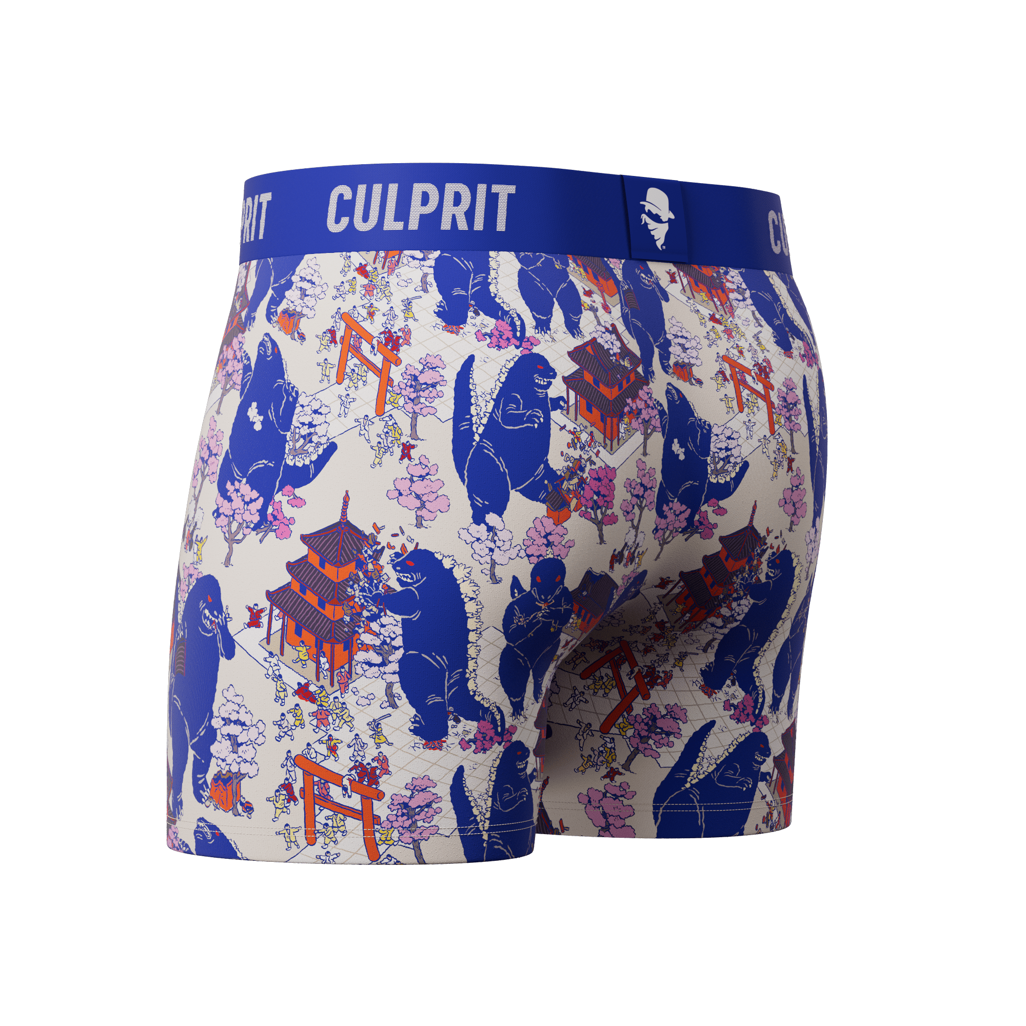 LIZARD KING 🐲 | Boxer Brief